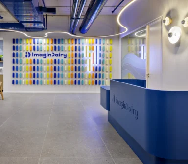 Office Design by studio samuelov Imagindairy 5